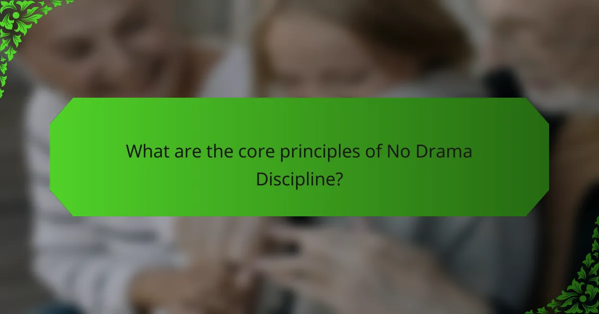 What are the core principles of No Drama Discipline?