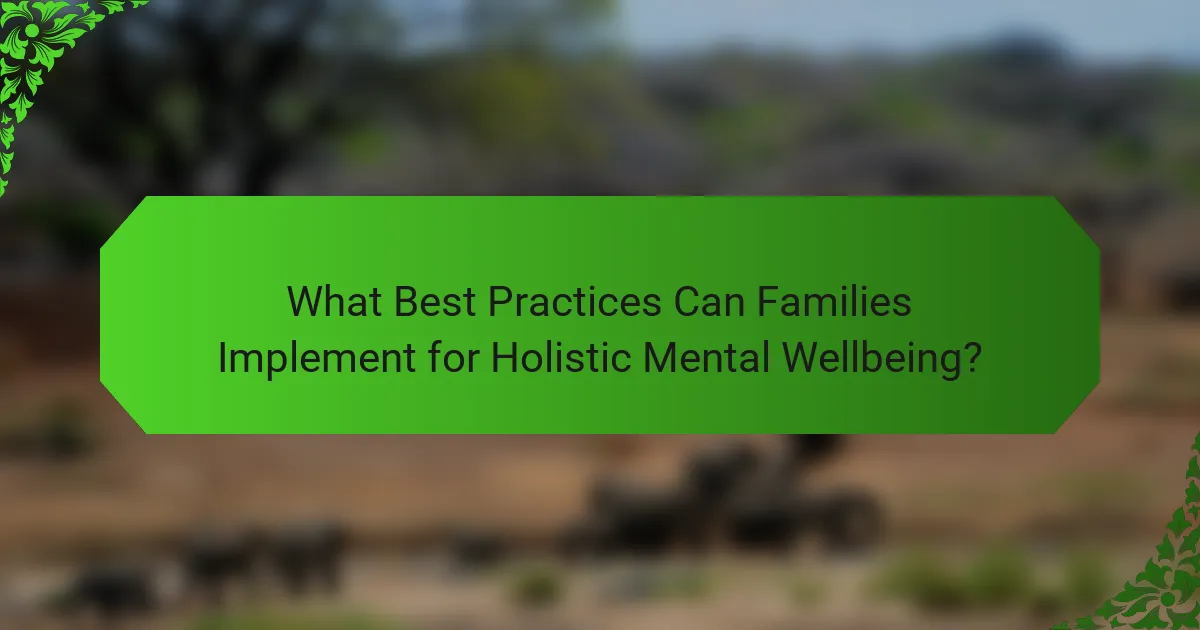 What Best Practices Can Families Implement for Holistic Mental Wellbeing?