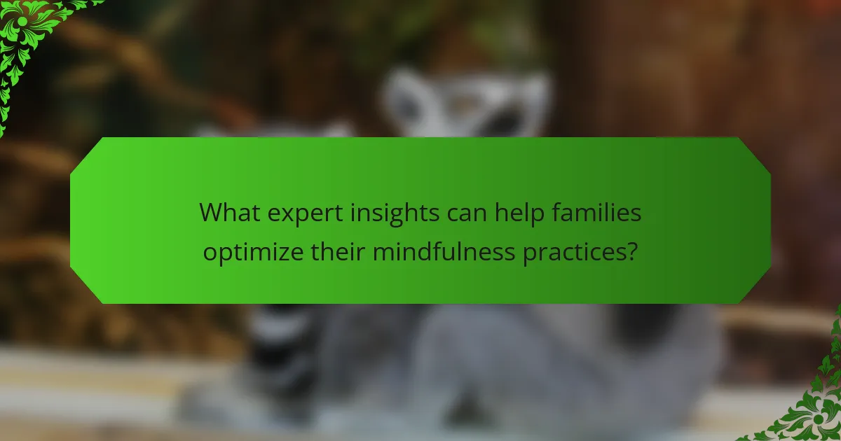 What expert insights can help families optimize their mindfulness practices?