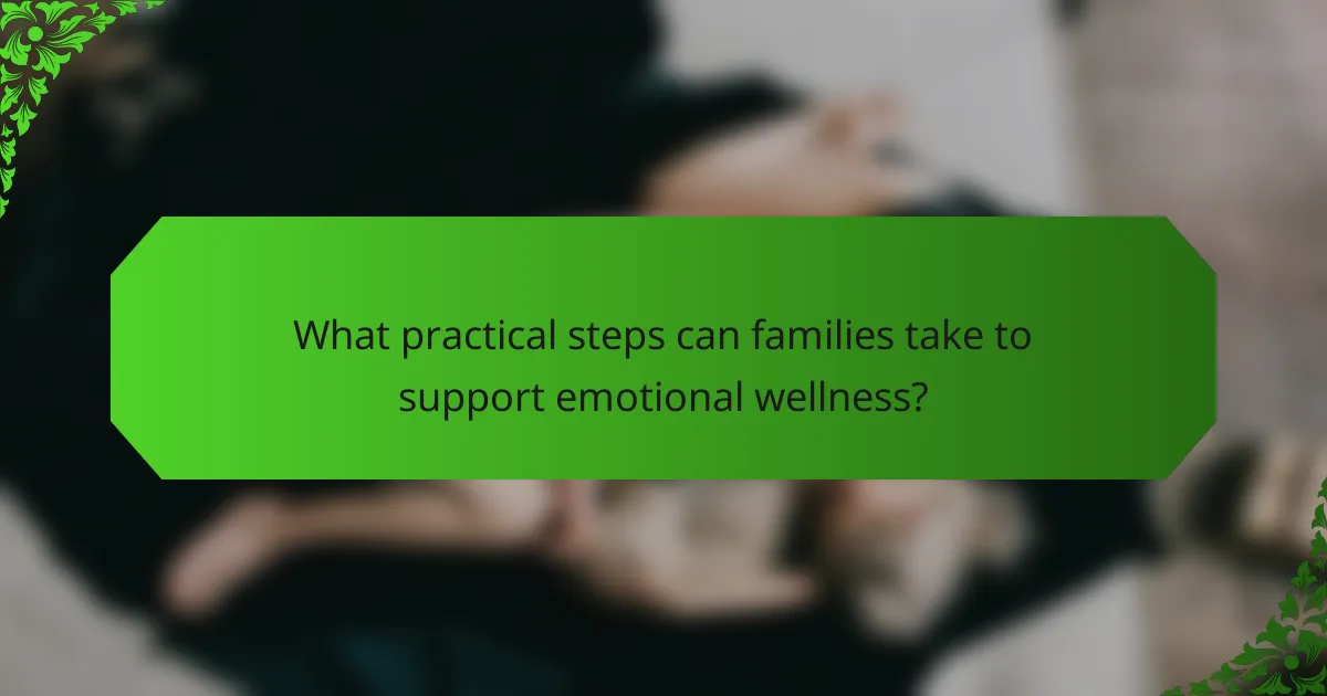 What practical steps can families take to support emotional wellness?