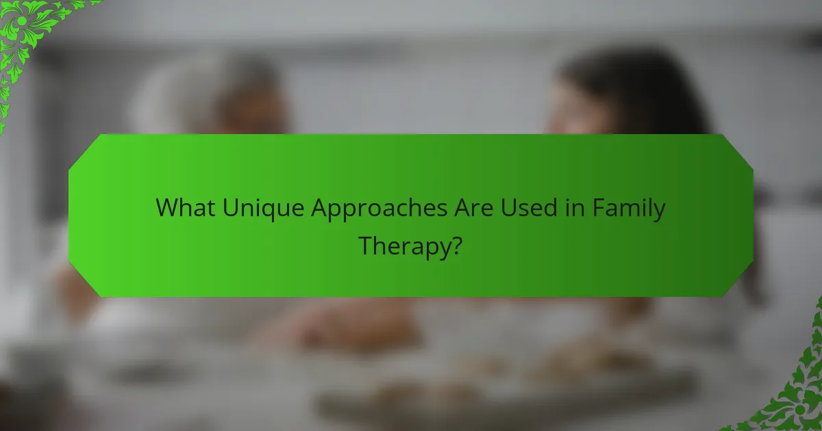 What Unique Approaches Are Used in Family Therapy?